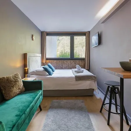 Fantastic By The With Mountain View Appartement