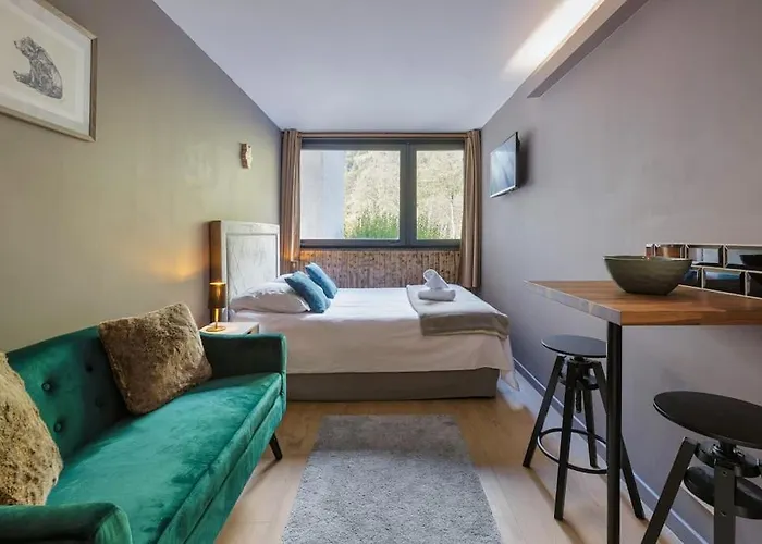 Fantastic By The With Mountain View Apartment